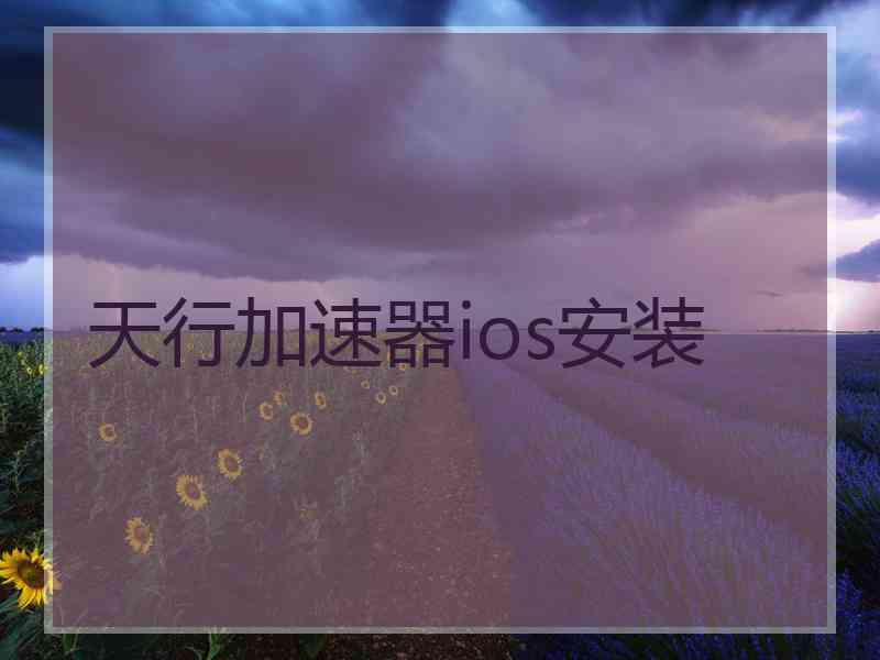 天行加速器ios安装