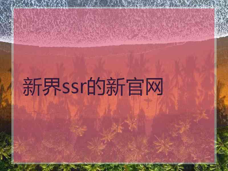 新界ssr的新官网