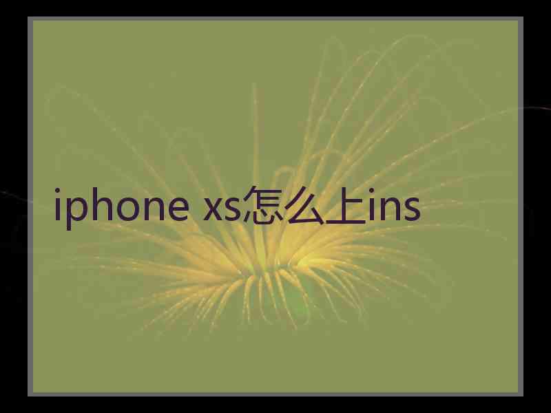 iphone xs怎么上ins