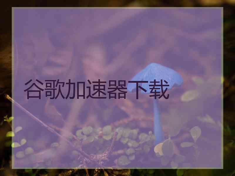 谷歌加速器下载