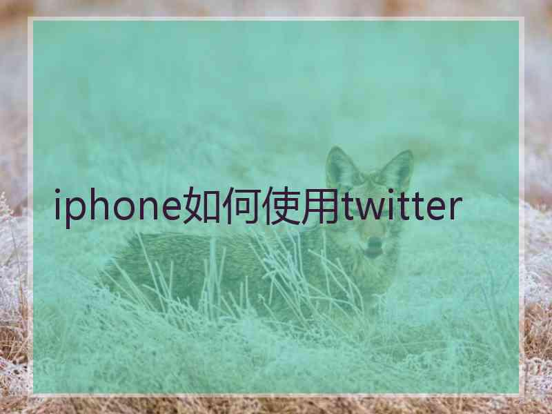 iphone如何使用twitter