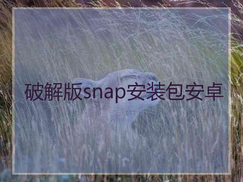 破解版snap安装包安卓