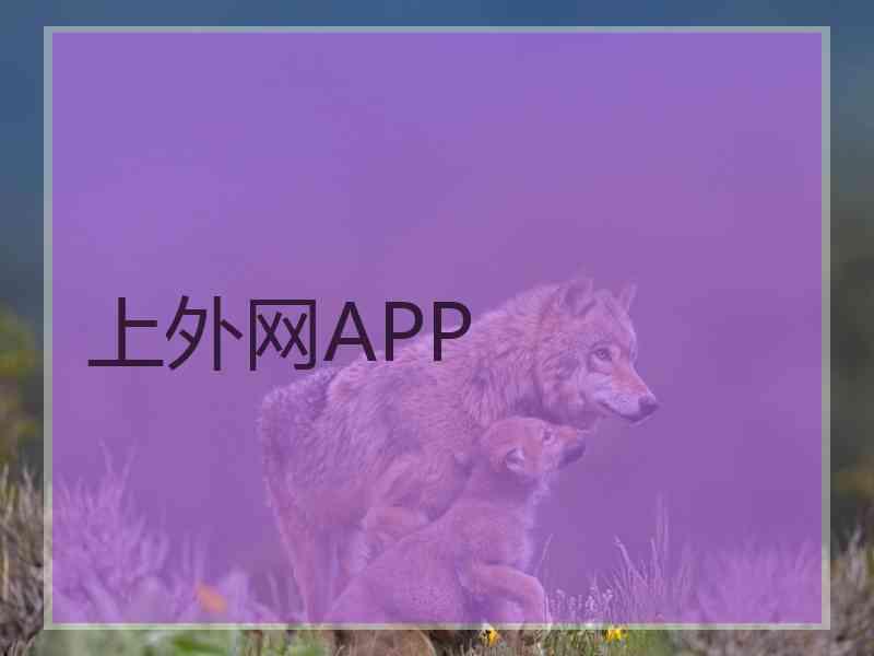 上外网APP