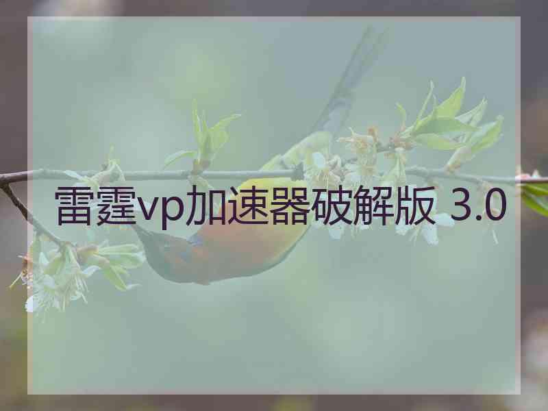 雷霆vp加速器破解版 3.0