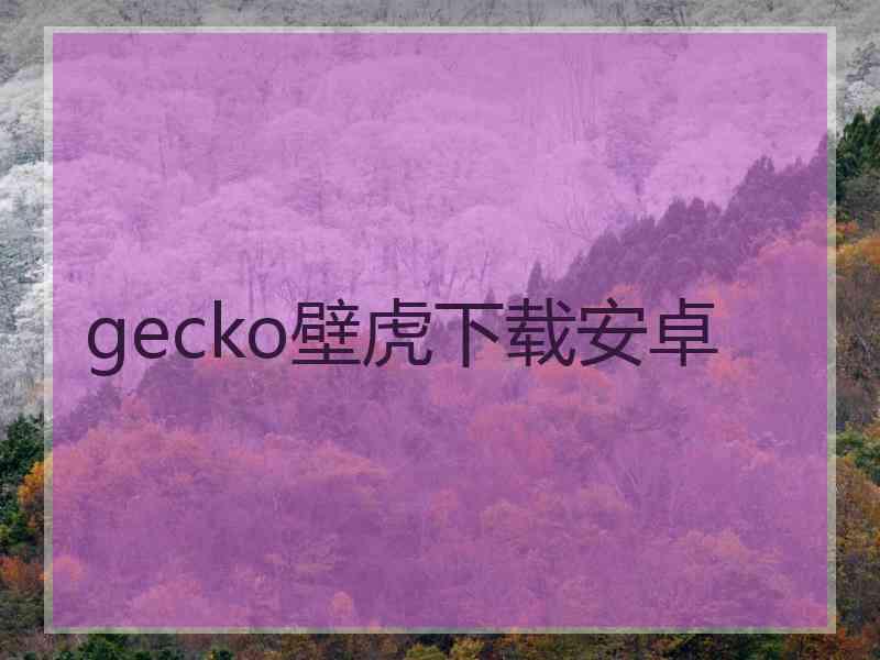 gecko壁虎下载安卓