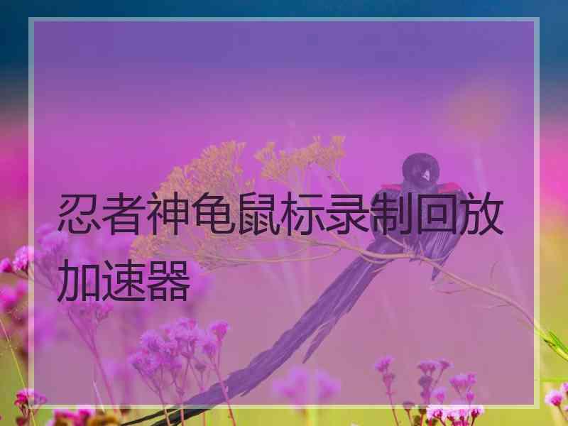 忍者神龟鼠标录制回放加速器