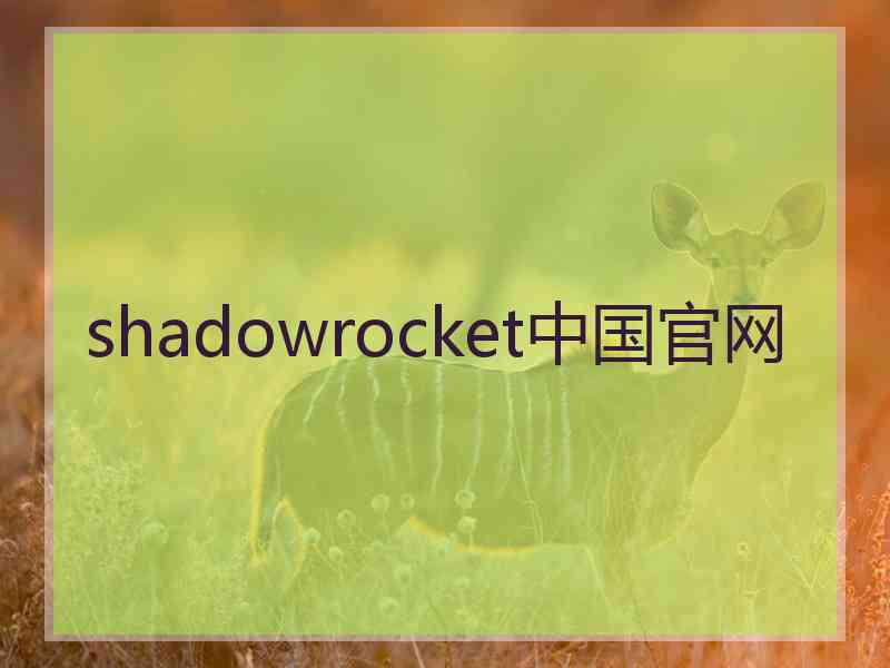 shadowrocket中国官网