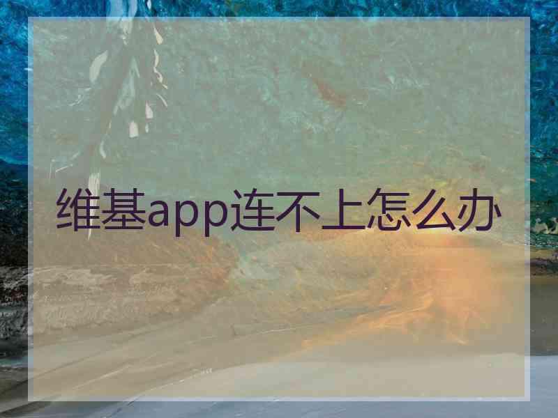 维基app连不上怎么办