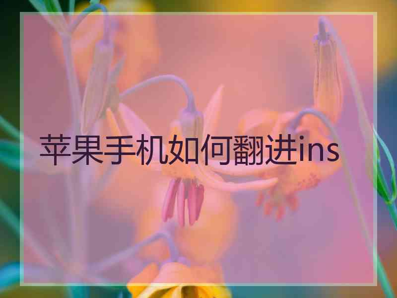 苹果手机如何翻进ins