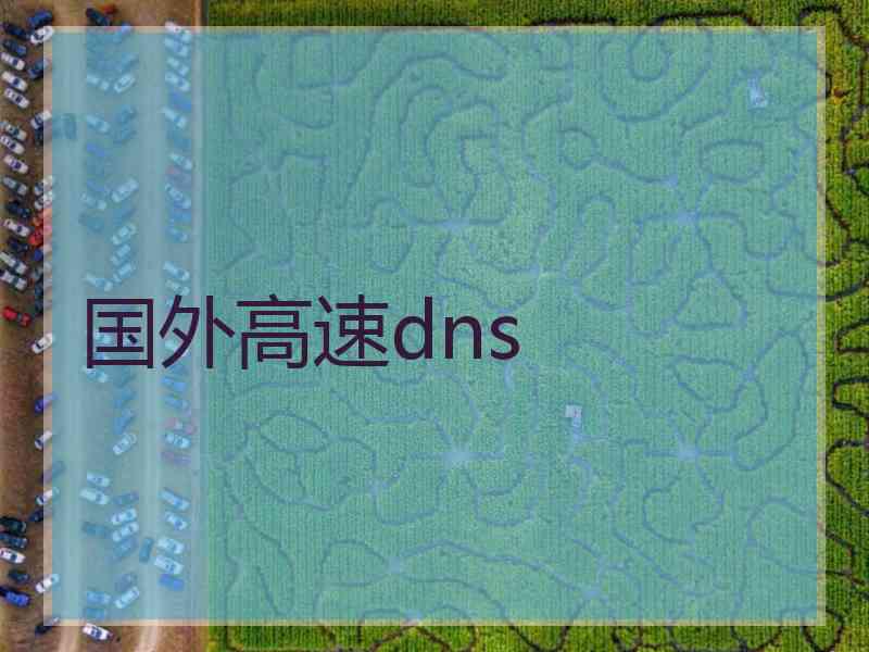 国外高速dns