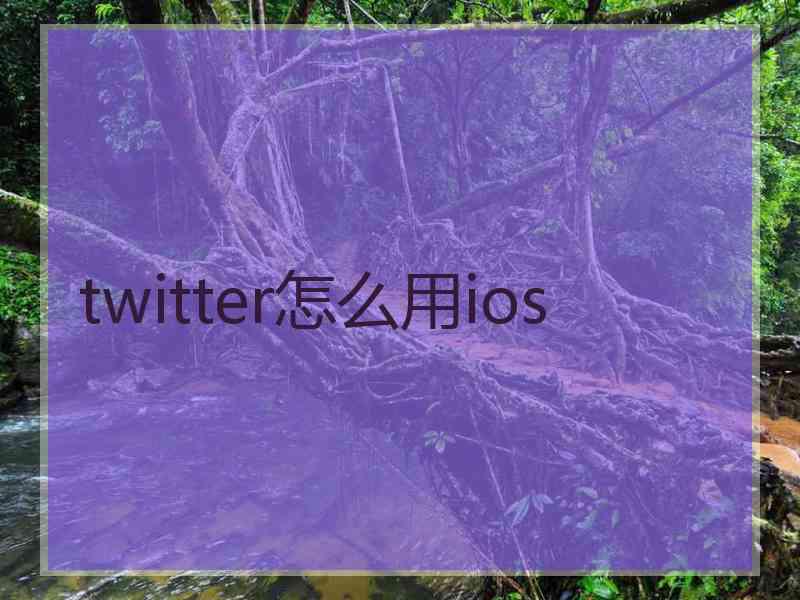 twitter怎么用ios