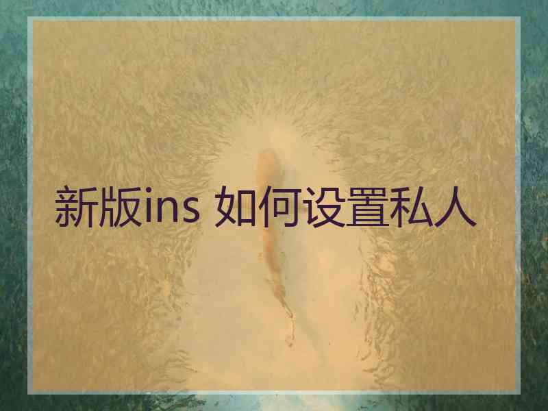 新版ins 如何设置私人