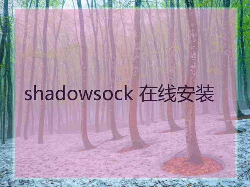 shadowsock 在线安装