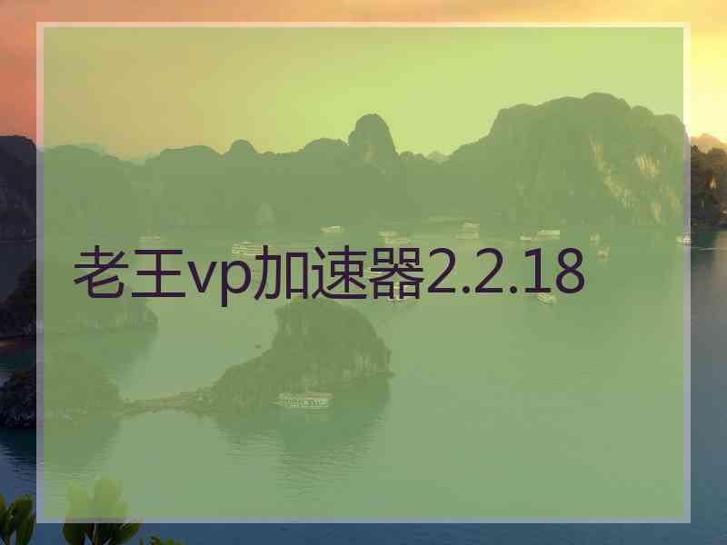 老王vp加速器2.2.18