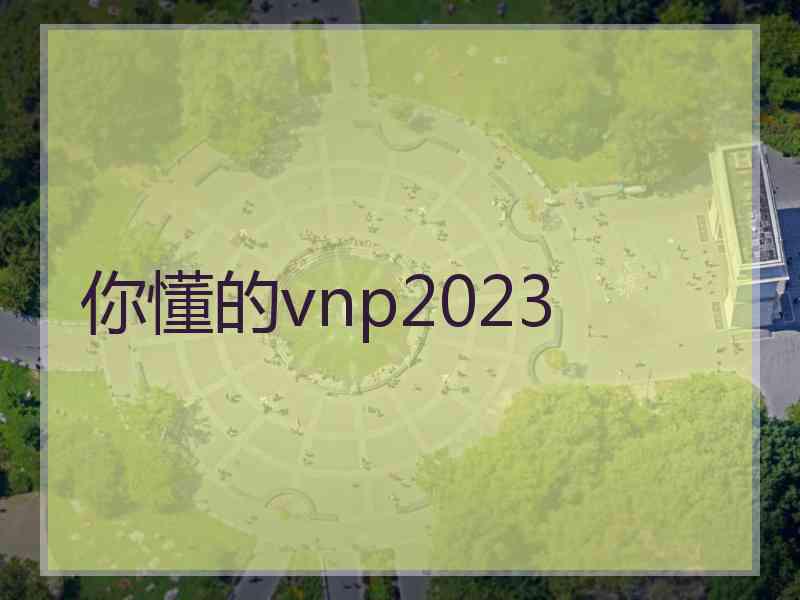 你懂的vnp2023