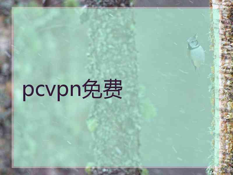 pcvpn免费