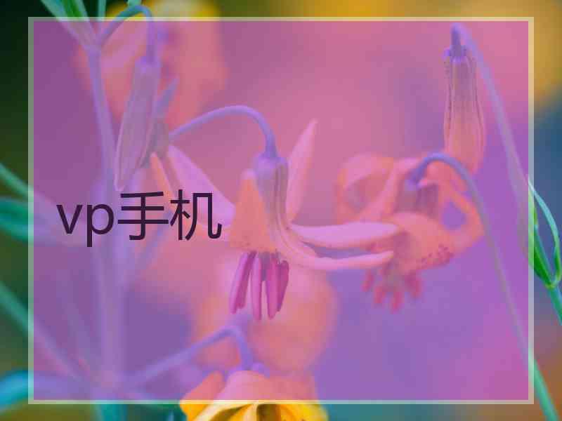 vp手机