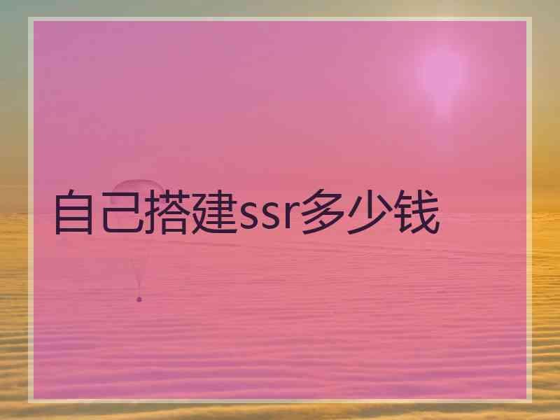 自己搭建ssr多少钱