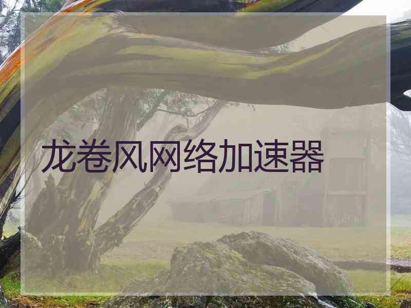 龙卷风网络加速器