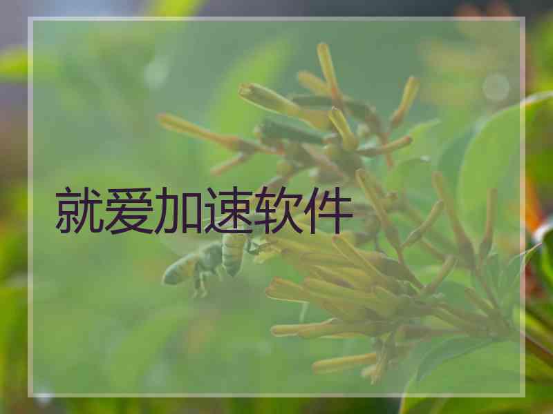 就爱加速软件