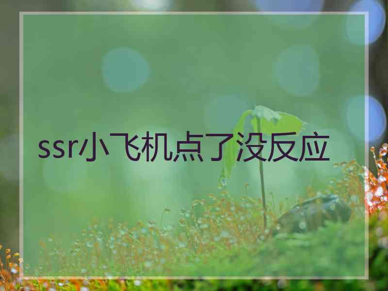 ssr小飞机点了没反应