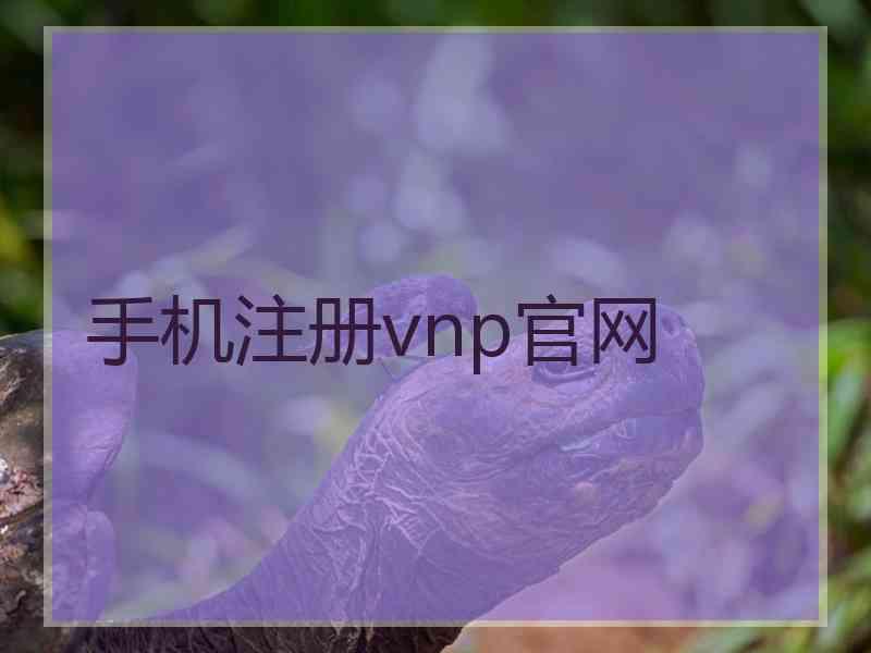 手机注册vnp官网