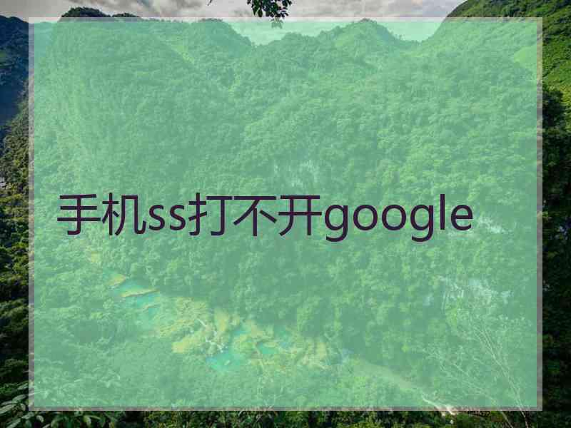 手机ss打不开google