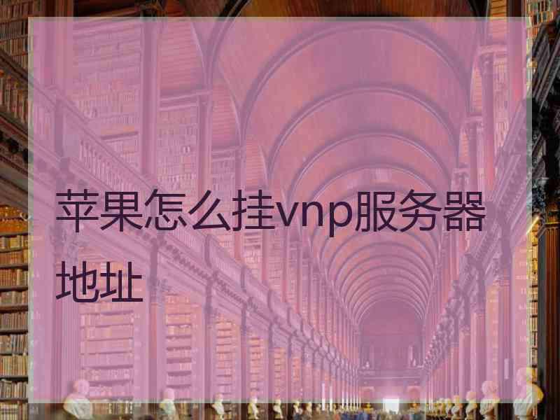 苹果怎么挂vnp服务器地址