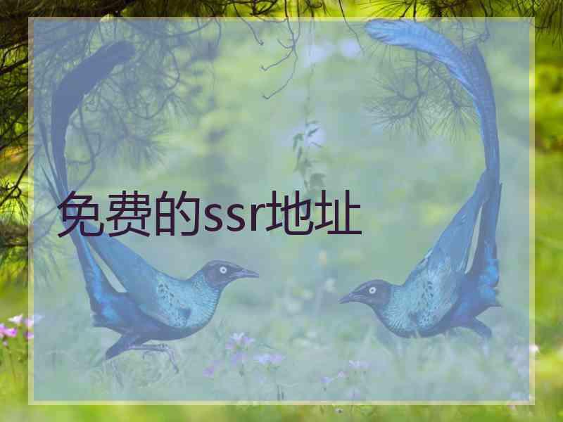 免费的ssr地址