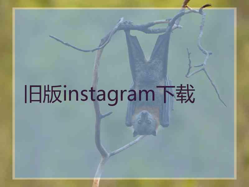 旧版instagram下载