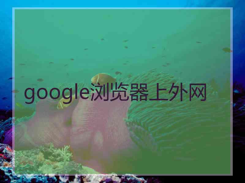 google浏览器上外网