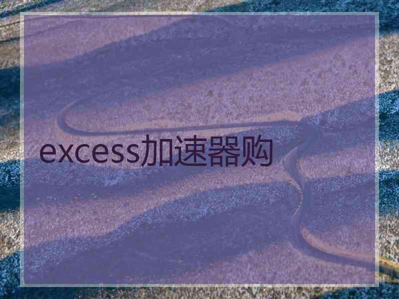 excess加速器购