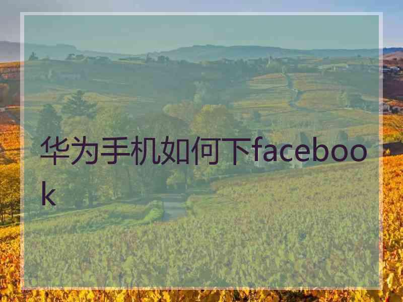 华为手机如何下facebook