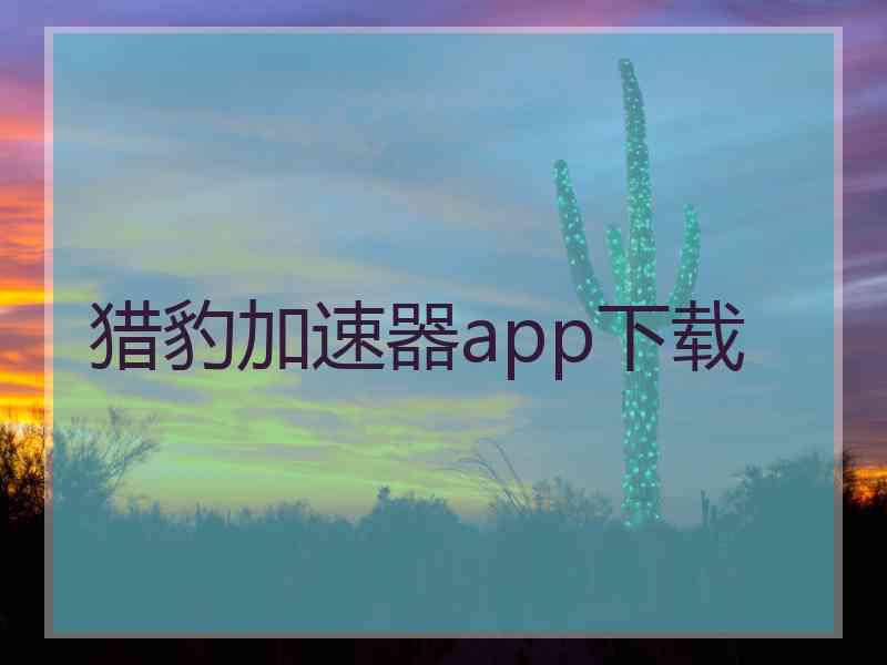 猎豹加速器app下载