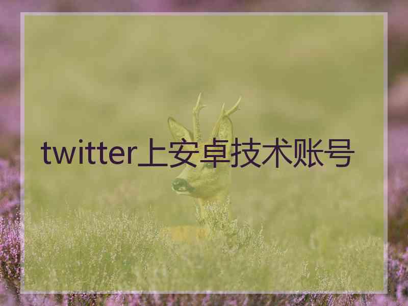 twitter上安卓技术账号