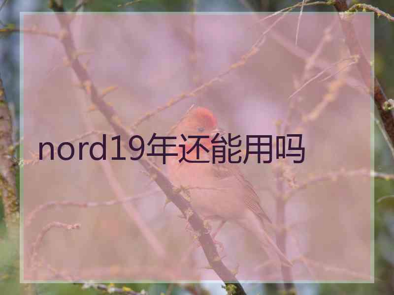 nord19年还能用吗