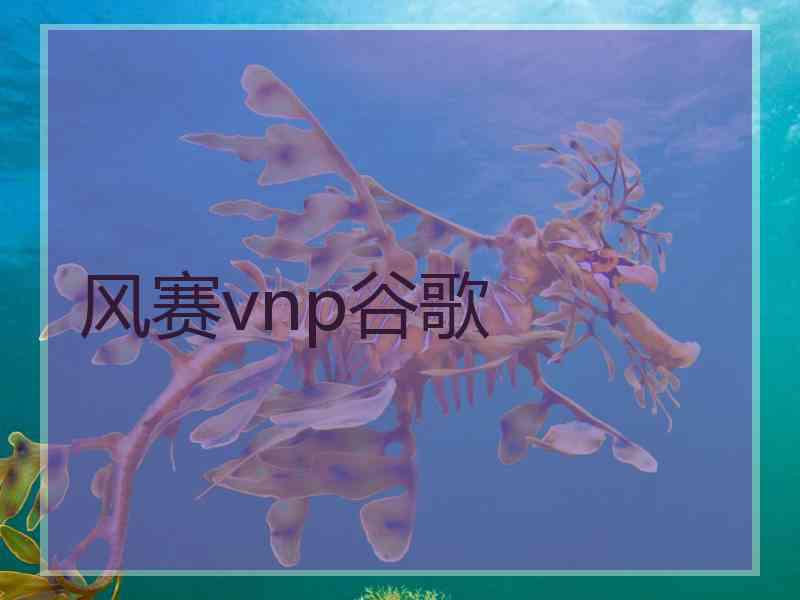 风赛vnp谷歌