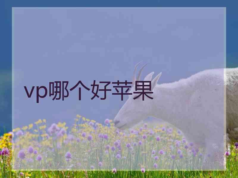 vp哪个好苹果