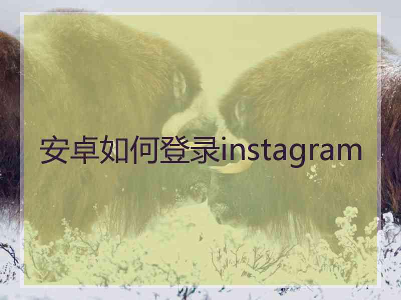 安卓如何登录instagram