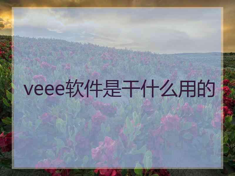 veee软件是干什么用的