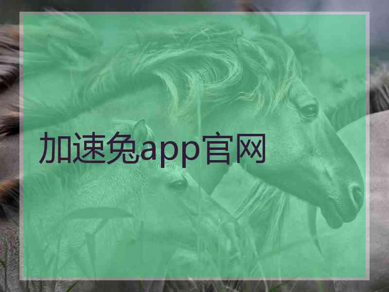 加速兔app官网