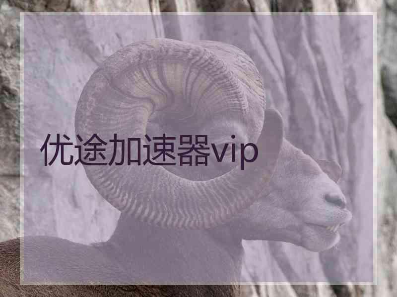 优途加速器vip