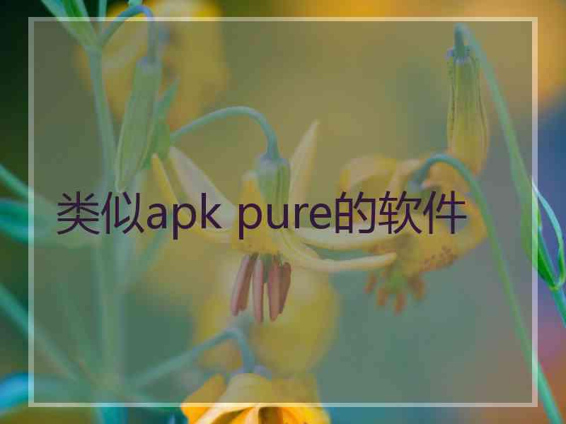 类似apk pure的软件