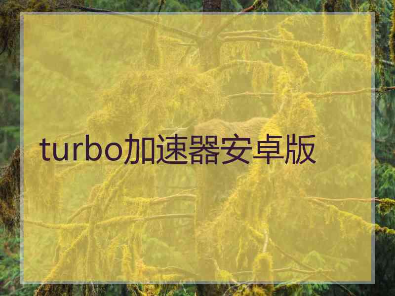 turbo加速器安卓版