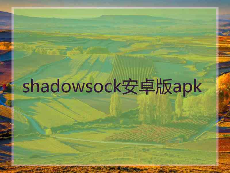 shadowsock安卓版apk