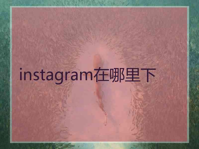 instagram在哪里下