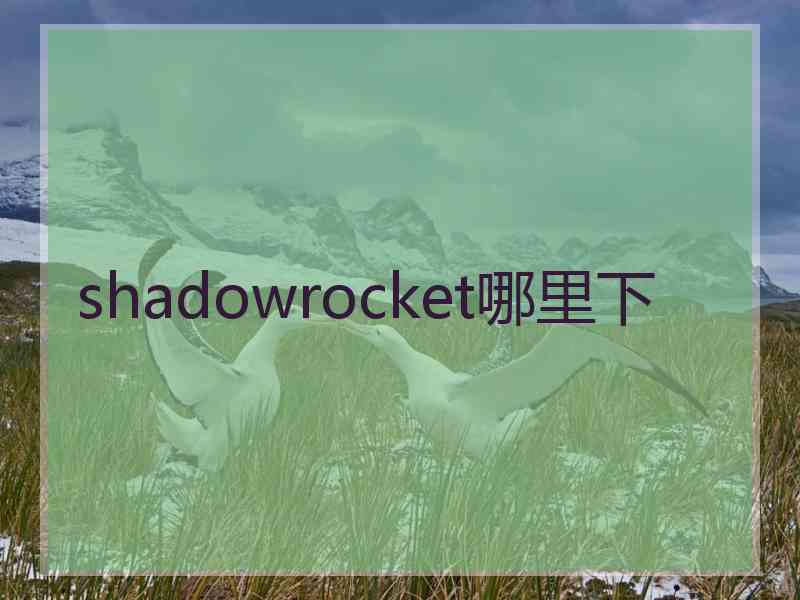 shadowrocket哪里下