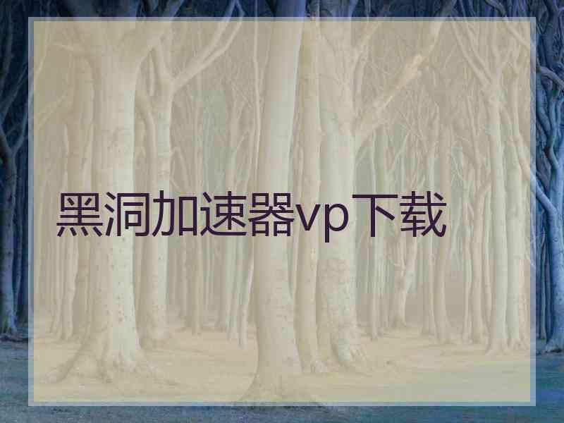 黑洞加速器vp下载