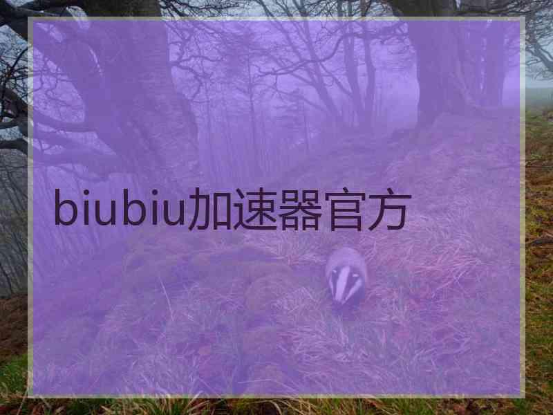 biubiu加速器官方