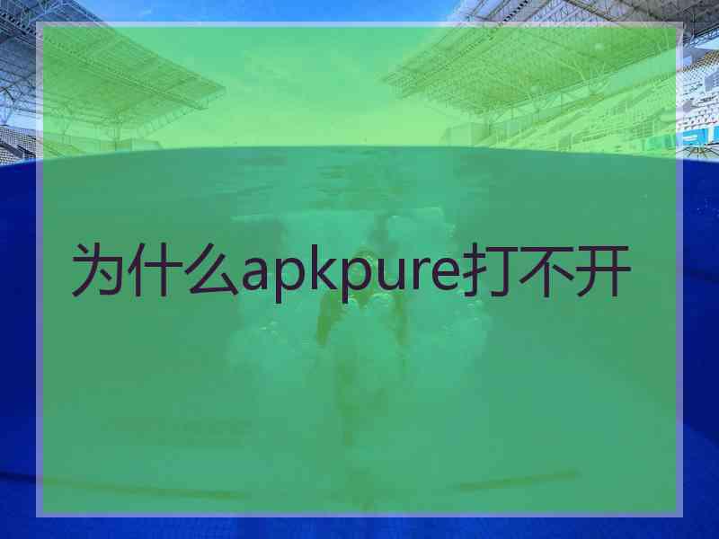 为什么apkpure打不开